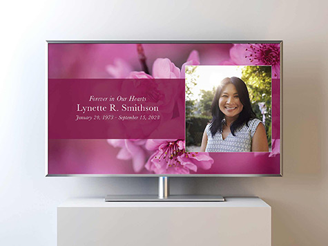 View Video Slideshow Sample