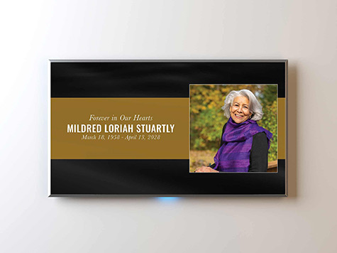 View Screen Slide Sample