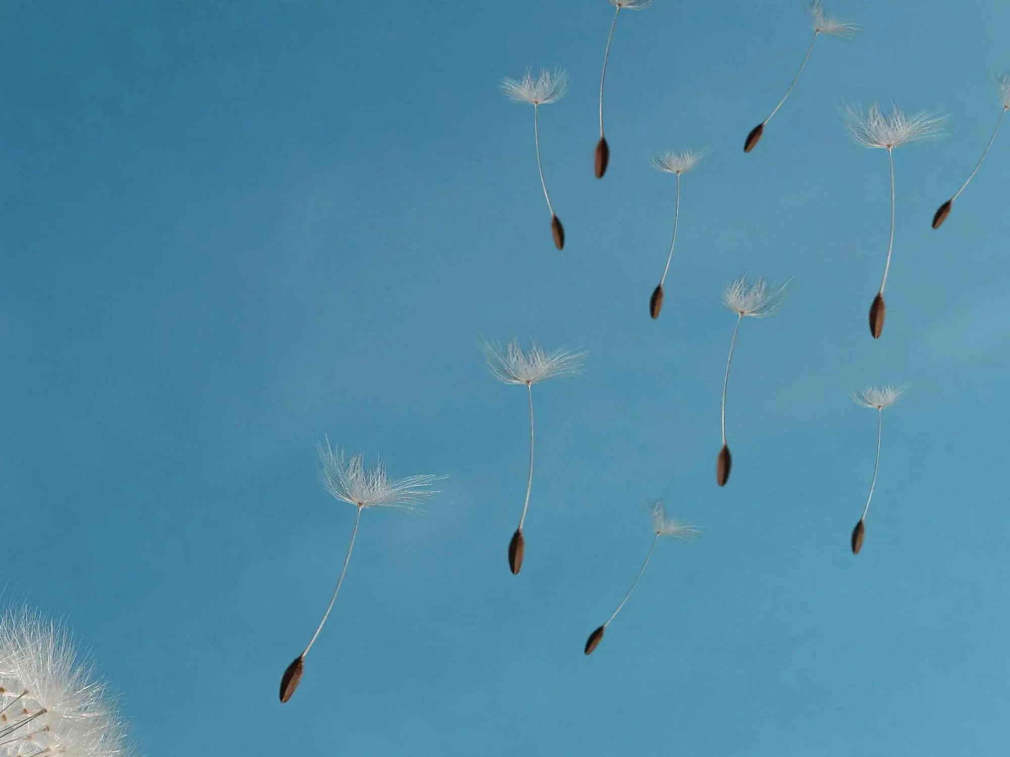 sky