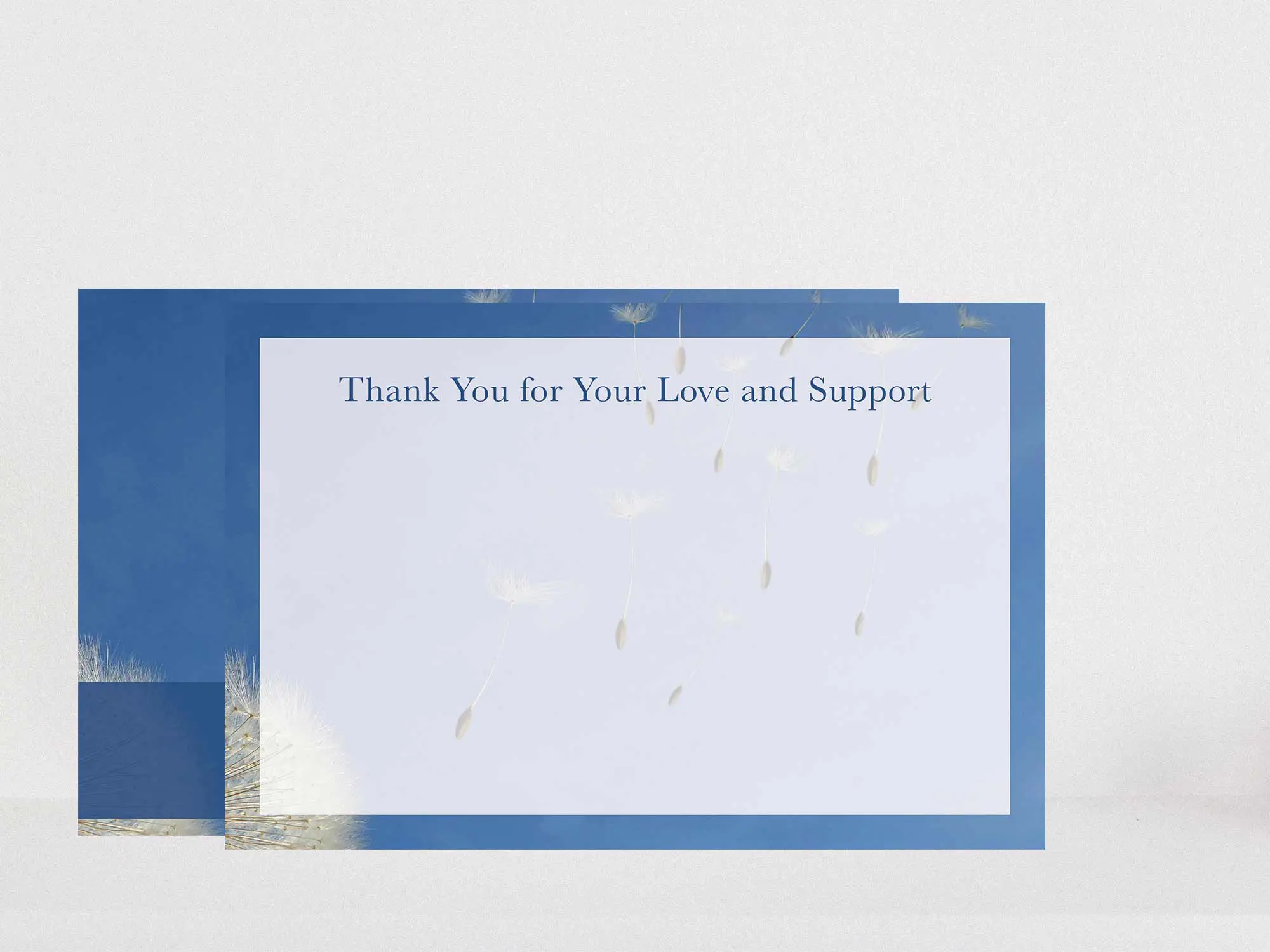 Thank You Card Back Blank