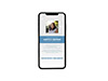 Mobile Friendly Sample