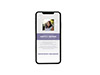 Mobile Friendly Sample