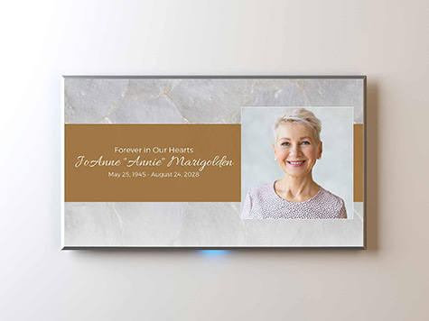 View Screen Slide Sample