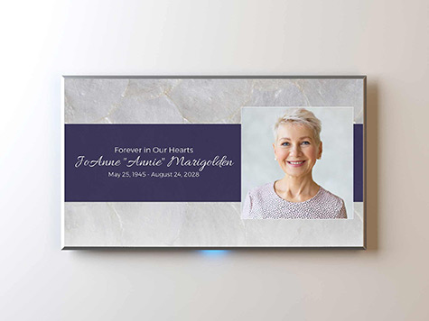 View Screen Slide Sample