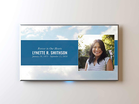 View Screen Slide Sample