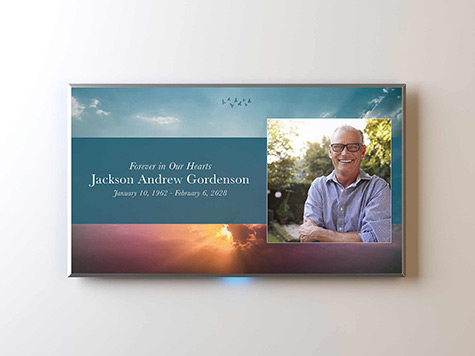 View Screen Slide Sample