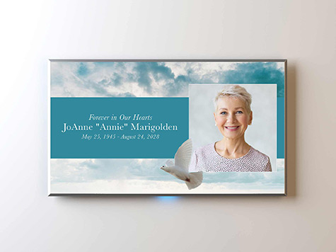 View Screen Slide Sample