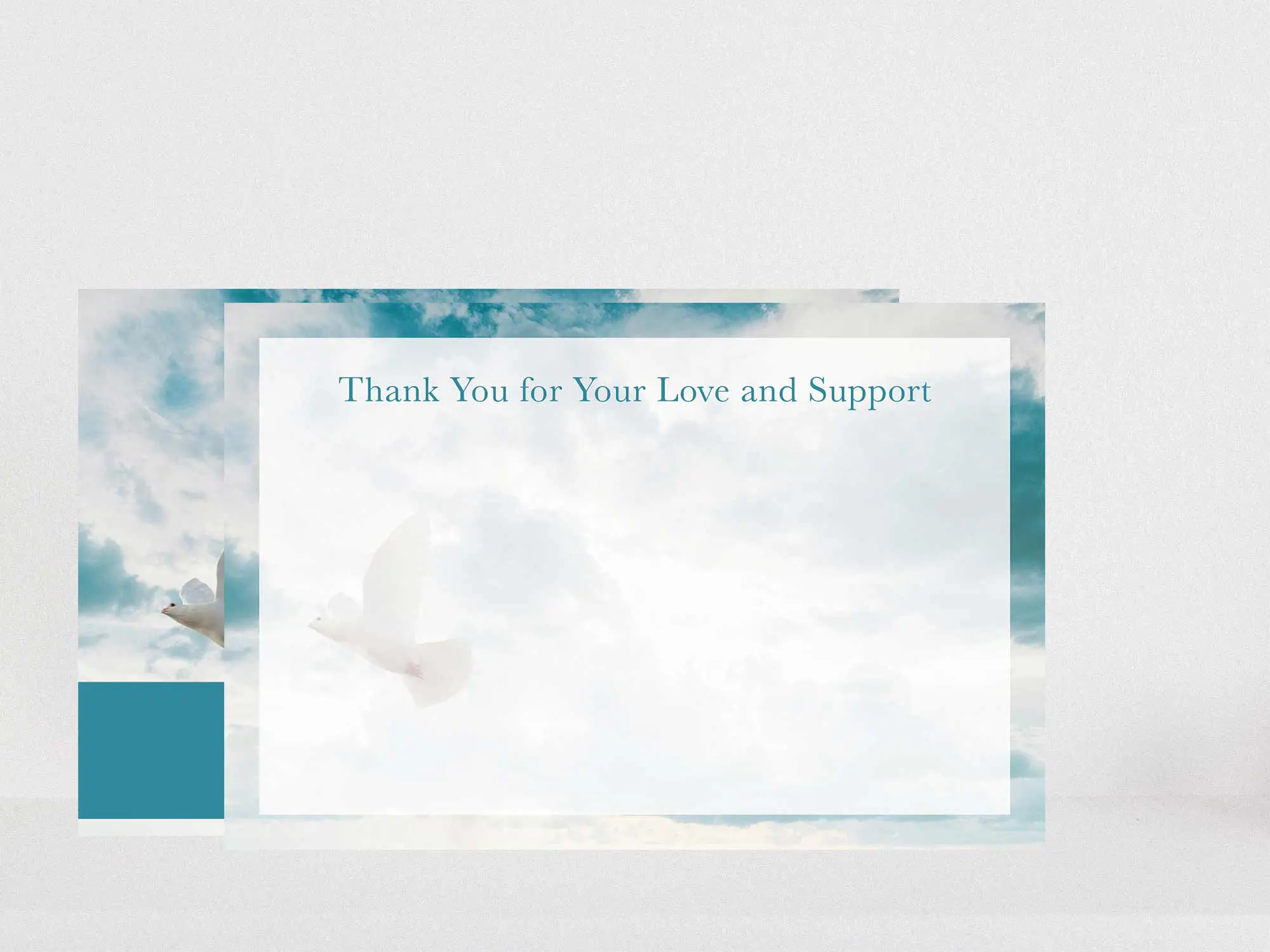 Thank You Card Back Blank