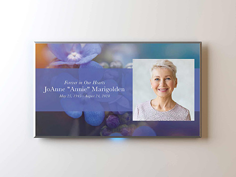 View Screen Slide Sample