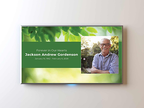 View Screen Slide Sample