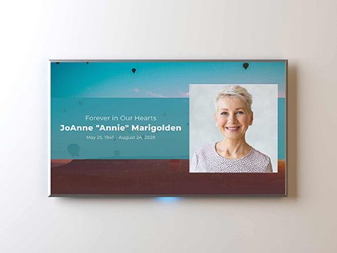 View Screen Slide Sample