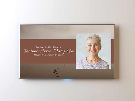 View Screen Slide Sample