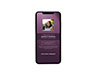 Mobile Friendly Sample