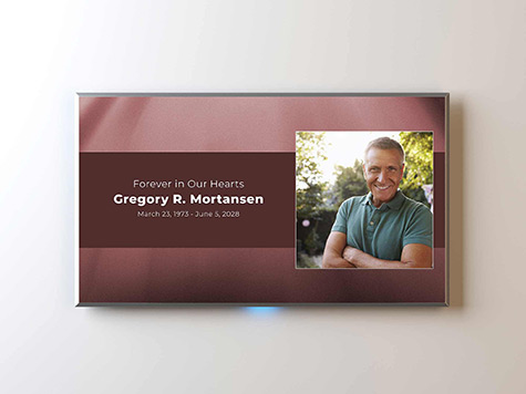 View Screen Slide Sample