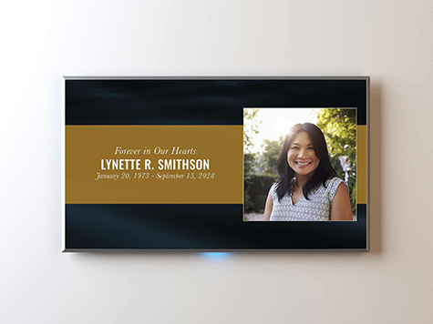 View Screen Slide Sample