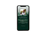 Mobile Friendly Sample