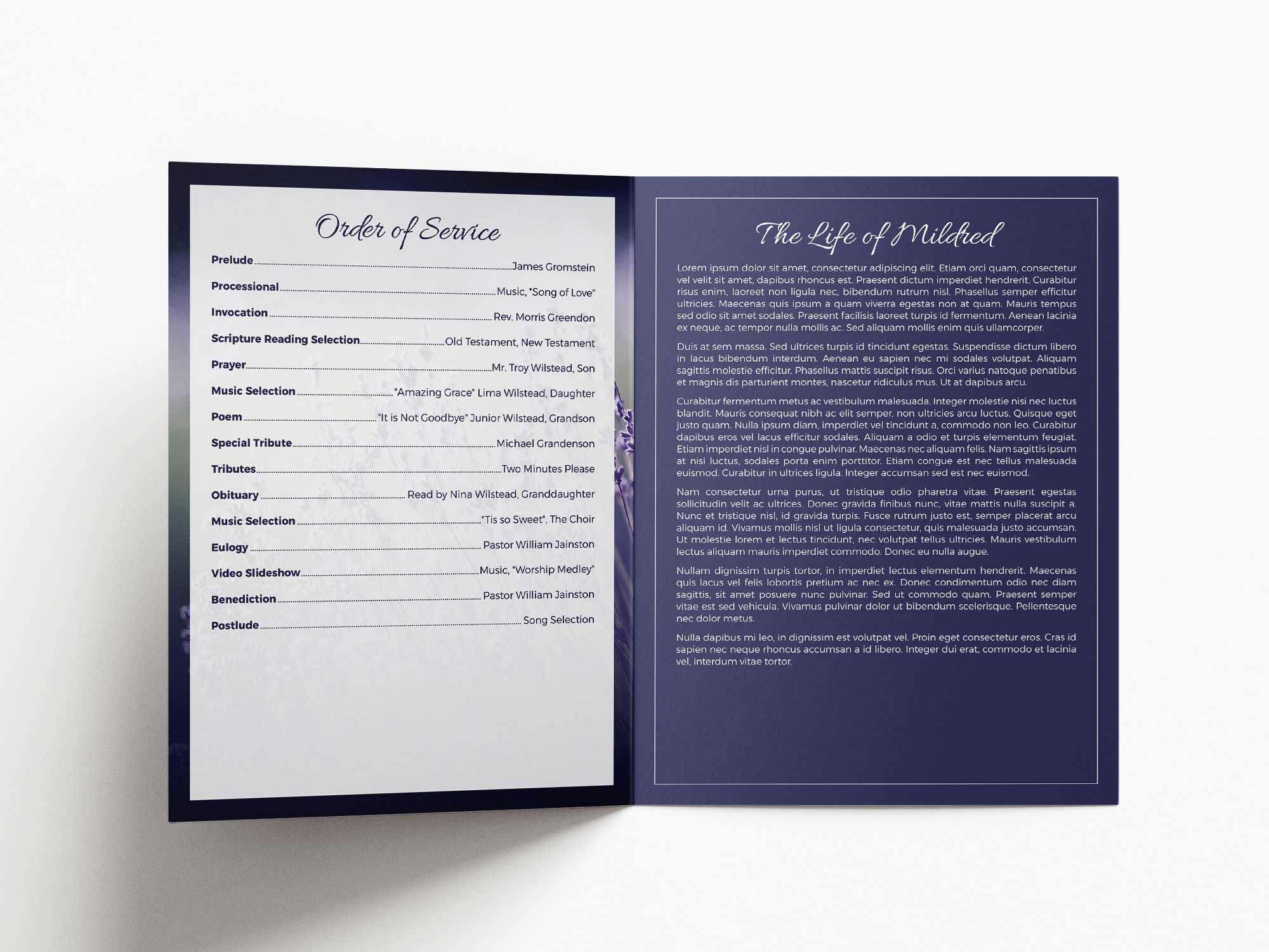 Large Program Inside Sample