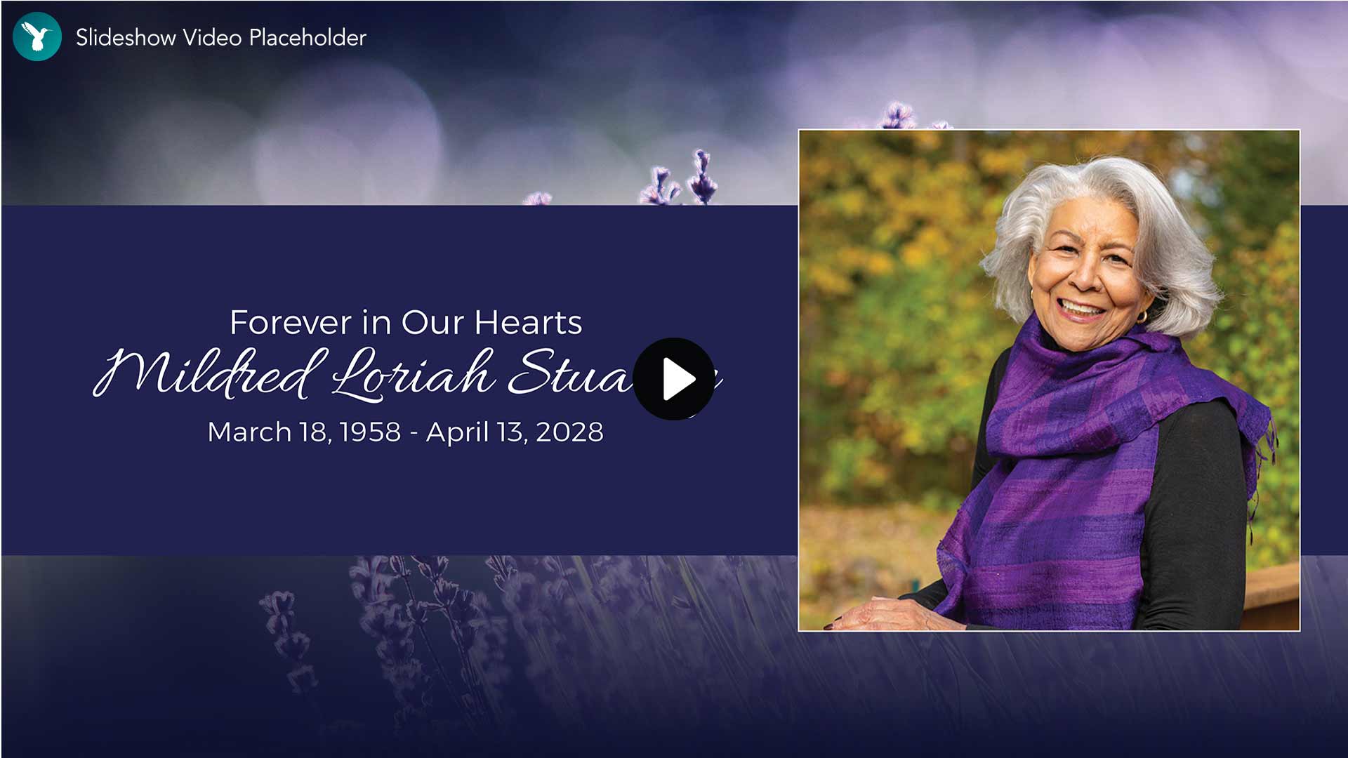 Video Slideshow Placeholder