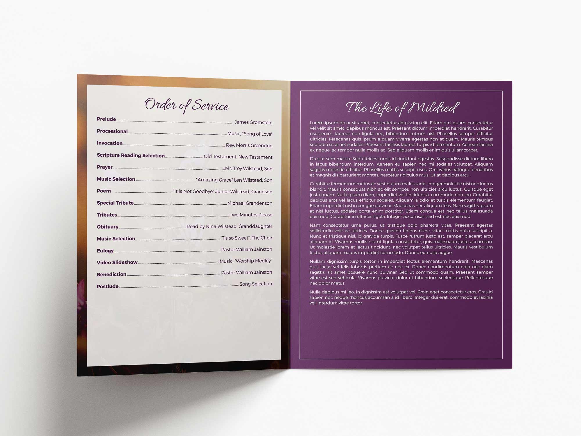 Large Program Inside Sample