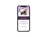 Mobile Friendly Sample