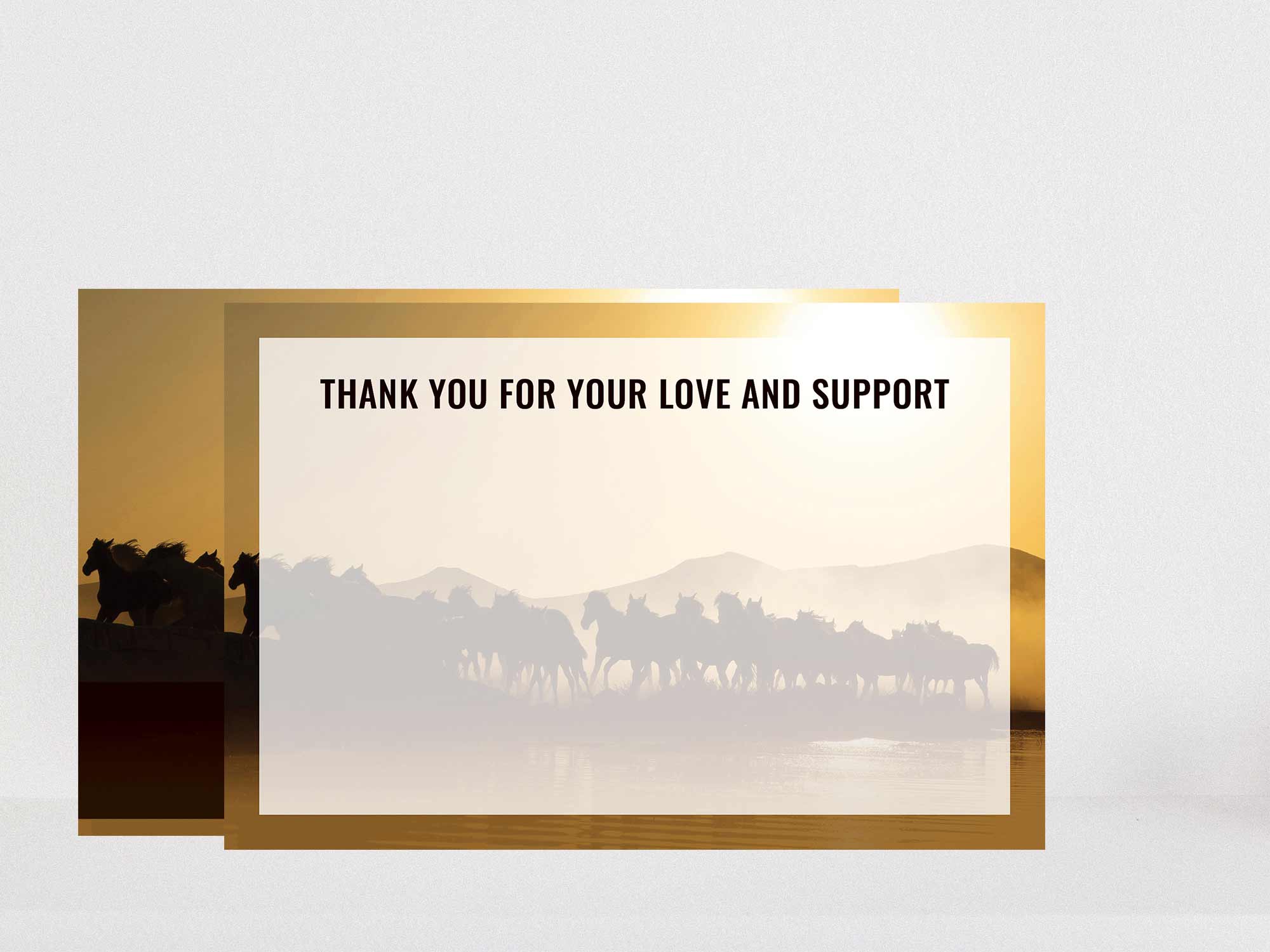 Thank You Card Back Blank Sample