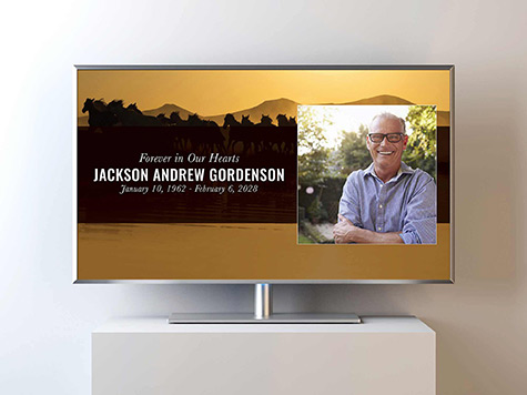 View Video Slideshow Sample