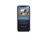 Mobile Friendly Sample