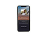 Mobile Friendly Sample