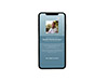Mobile Friendly Sample