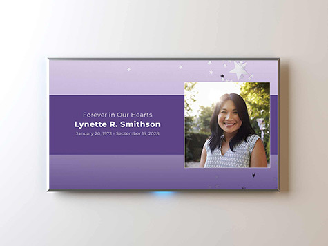 View Screen Slide Sample