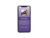 Mobile Friendly Sample
