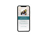 Mobile Friendly Sample