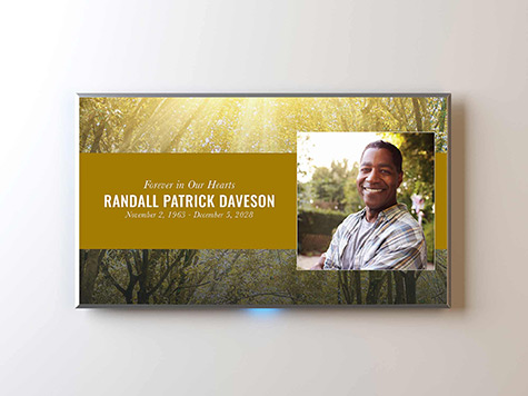 View Screen Slide Sample