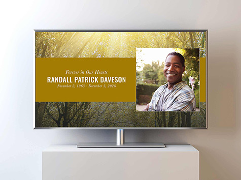 View Video Slideshow Sample