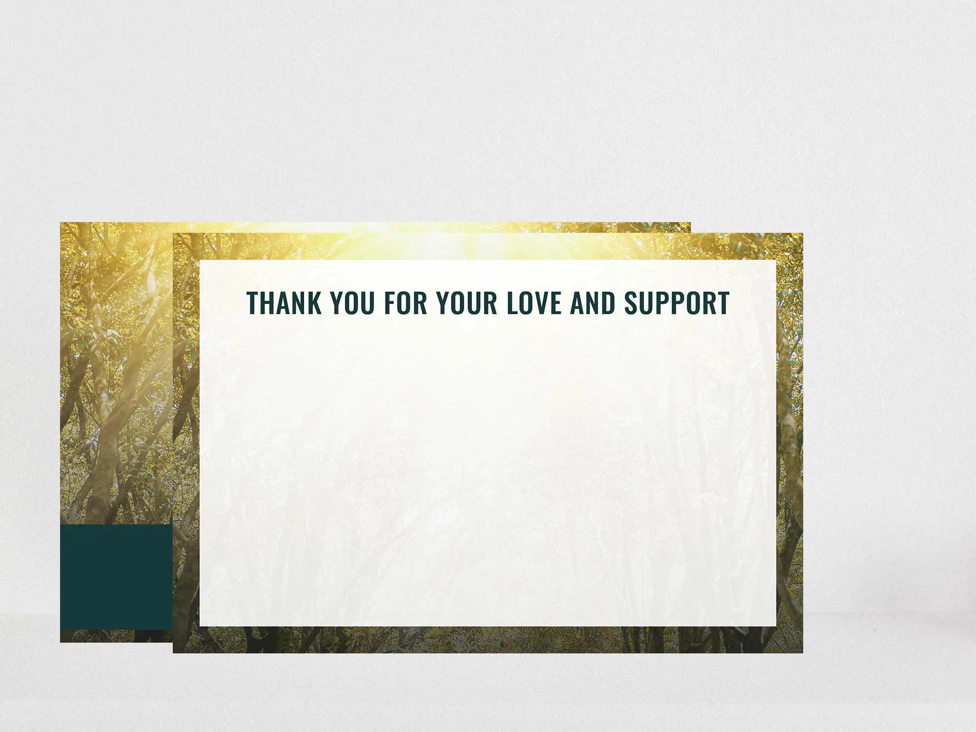 Thank You Card Back Blank