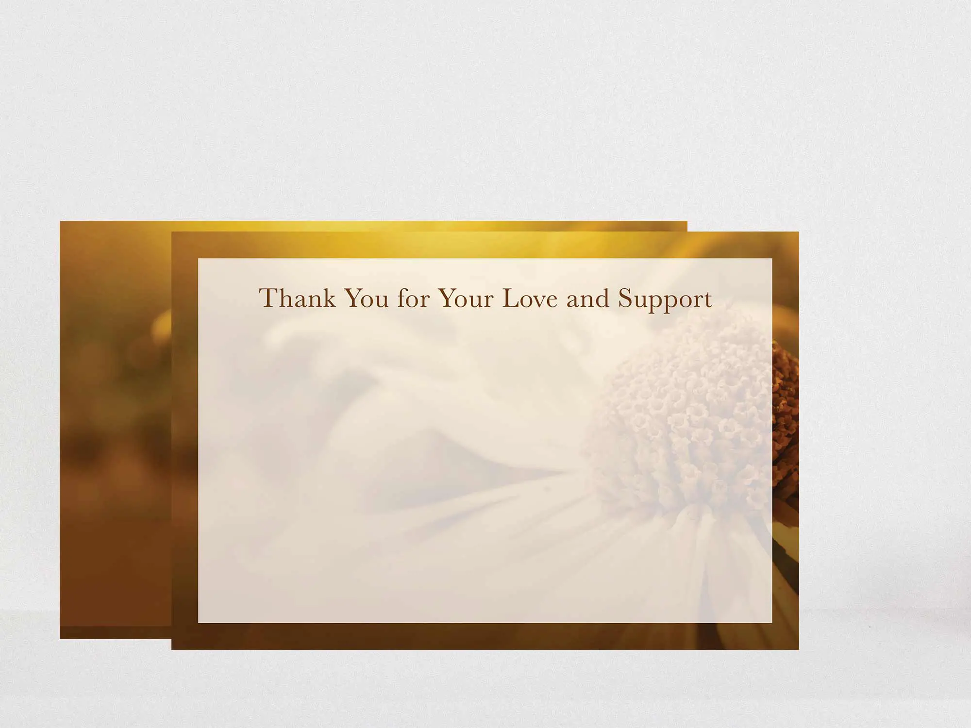 Thank You Card Back Blank
