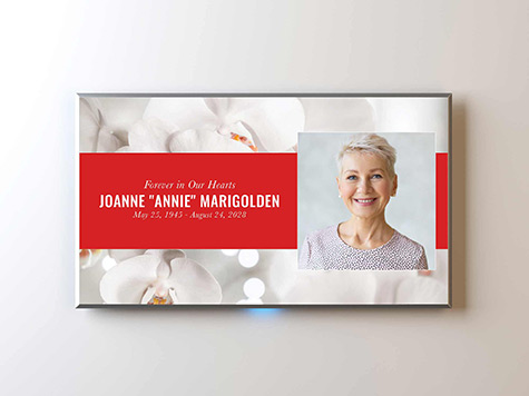 View Screen Slide Sample